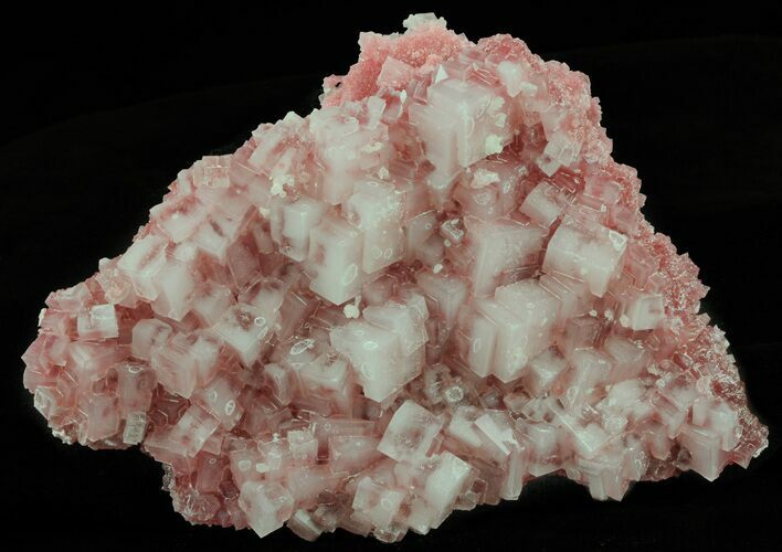 Pink Halite Crystal Plate - Trona, California #61056